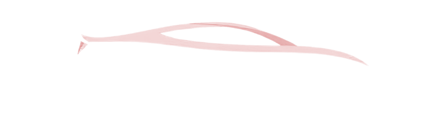 Correoltd Ltd Logo